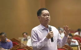 Thông tin việc nhiều doanh nghiệp ở Bình Định dừng hoạt động, giải thể