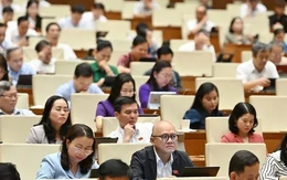 Ai được quyết định chủ trương đầu tư cảng hàng không, sân bay? Ai được quyết định chủ trương đầu tư cảng hàng không, sân bay?
