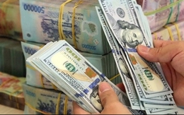 Chuyên gia nói gì về diễn biến tỷ giá lập kỷ lục?