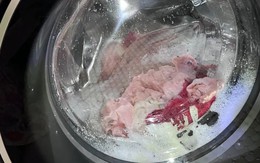 7 lỗi sai khi dùng máy giặt: Càng giặt quần áo càng bẩn, bốc mùi hôi 7 lỗi sai khi dùng máy giặt: Càng giặt quần áo càng bẩn, bốc mùi hôi