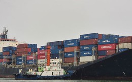 Xuất khẩu chủ động ứng phó rủi ro