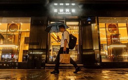 Thương hiệu nội trỗi dậy, áp đảo hàng ngoại: Đằng sau loạt chiến lược chinh phục thị trường quê nhà của các doanh nghiệp Trung Quốc Thương hiệu nội trỗi dậy, áp đảo hàng ngoại: Đằng sau loạt chiến lược chinh phục thị trường quê nhà của các doanh nghiệp Trung Quốc