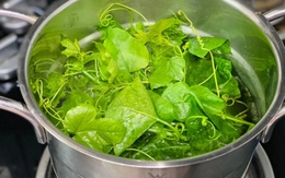 Loại rau mọc bờ rào nay "lên đời" thành đặc sản, vừa ngon bổ vừa dễ trồng tại nhà