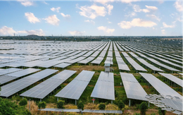 Khai mở "mỏ nắng" của miền Tây Nam Bộ