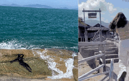 Thủy Tiên “tái xuất” sau nửa năm “ở ẩn”, khoe body siêu nóng bỏng nhưng netizen vẫn chỉ thắc mắc 1 điều...