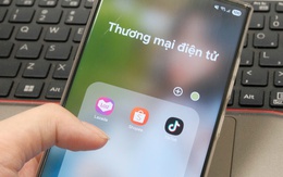 Bất ngờ với mức chi tiêu tỷ USD cho mua sắm online của người Việt Bất ngờ với mức chi tiêu tỷ USD cho mua sắm online của người Việt