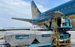 Trả cổ tức tiền mặt 60%, 'Đại gia' sân bay đặt mục tiêu lãi kỷ lục 860 tỷ, muốn làm kho hàng ở Sân bay Long Thành Trả cổ tức tiền mặt 60%, 'Đại gia' sân bay đặt mục tiêu lãi kỷ lục 860 tỷ, muốn làm kho hàng ở Sân bay Long Thành