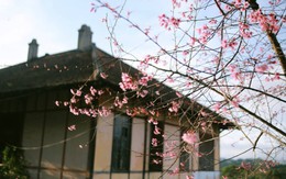 Sau 1/7, Đà Lạt rộng gấp 4 lần hiện tại: Có thêm những điểm du lịch hấp dẫn nào?