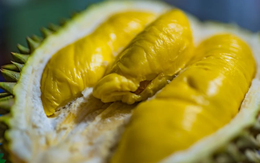 Không phải Thái Lan hay Việt Nam, trái cây vua của một quốc gia đang lên như diều gặp gió: Sắp xuất khẩu hàng tươi sang Trung Quốc, châu Âu cũng đang mạnh tay săn lùng