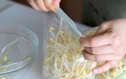 3 kiểu bảo quản giá đỗ tiện thì có tiện nhưng cực nhanh hỏng, mất dinh dưỡng còn “rước” bệnh vào nhà