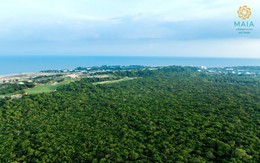Hồ Tràm: Thủ phủ du lịch mới của TP.HCM và nhân tố mới Maia Resort Ho Tram