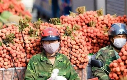 Nông sản Việt đang ở đâu?