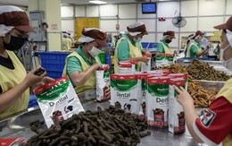 Chiếm 1/3 lượng nhập khẩu của Mỹ, ngành công nghiệp hơn 2 tỷ USD của Thái Lan lo sốt vó khi hạn chót thuế quan sắp đến, đứng trước nguy cơ mất khách ‘sộp’