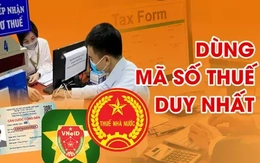 Định danh cá nhân thay thế mã số thuế từ 1/7 ra sao? Định danh cá nhân thay thế mã số thuế từ 1/7 ra sao?