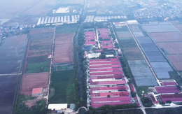 Dabaco được chấp thuận đầu tư dự án Cụm công nghiệp Lạc Vệ tại Bắc Ninh