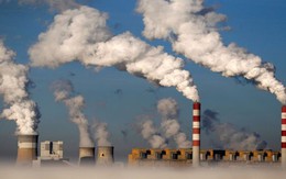 Google tăng 51% lượng khí thải ra môi trường kể từ khi có AI, liệu có còn thực sự "bảo vệ môi trường"?