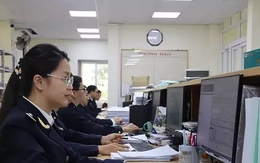 Tạm dừng làm thủ tục hải quan từ 22h ngày mai
