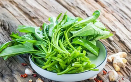 Loại rau giải nhiệt mùa hè là "thuốc làm sạch đường ruột", giúp hạ đường huyết, tốt đủ đường: Chợ Việt bán vừa nhiều vừa rẻ