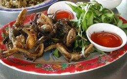 Thứ "xưa không ai ăn" nay thành đặc sản đắt đỏ dân phố thích mê, 1,4 triệu đồng/kg
