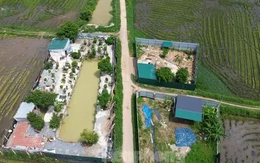 Nhiều công trình vi phạm đất đai, trật tự xây dựng ở Hà Nội chưa được xử lý dứt điểm Nhiều công trình vi phạm đất đai, trật tự xây dựng ở Hà Nội chưa được xử lý dứt điểm