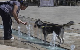 Nắng nóng trở lại châu Âu