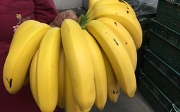 Trộm rồi ăn hết cả nải chuối 16 quả, người đàn ông bị kết án 6 ngày tù: Bác sĩ nghi là biểu hiện của 1 bệnh