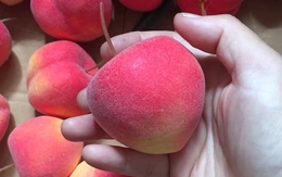 Mùa hè có 1 loại quả giàu nước vị ngọt mát, ăn đều giúp giữ dáng và ổn định đường huyết