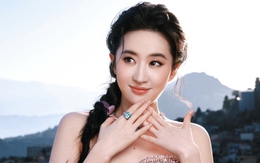 Ai cứu nổi Lưu Diệc Phi? Ai cứu nổi Lưu Diệc Phi?