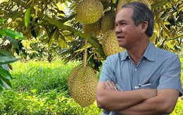 Giá sầu riêng thấp kỷ lục, nhớ lại lời bầu Đức: Ngay cả khi bán sầu riêng với giá 20.000 đồng/kg vẫn có lãi