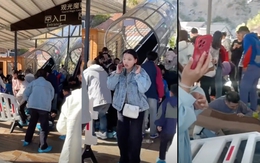 Sự cố trò chơi mạo hiểm khiến 20 du khách lao như 'tên bắn' xuống đất, dấy lên lo ngại về an toàn