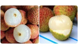 5 lưu ý quan trọng khi ăn quả vải để không gây hại sức khoẻ