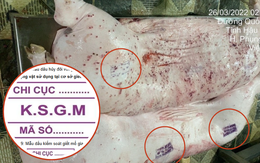 Vụ C.P. Việt Nam bị tố bán heo bệnh: Các mẫu dấu đóng trên thịt gia súc nói lên điều gì? Vụ C.P. Việt Nam bị tố bán heo bệnh: Các mẫu dấu đóng trên thịt gia súc nói lên điều gì?