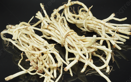 Đừng chỉ ăn lá, rễ loại cây này quý như "nhân sâm người nghèo" ở quê mọc um tùm như cỏ dại