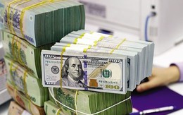 Ngày 4/6: Ngân hàng Nhà nước lần đầu tiên tăng tỷ giá trung tâm lên trên 25.000 đồng, giá USD ngân hàng tiếp tục kịch trần