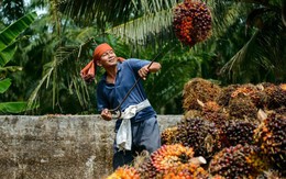 Một ngành giúp Malaysia thu 26 tỷ USD/năm, nước bạn kỳ vọng "Việt Nam mở ra cơ hội tuyệt vời cho chúng ta"