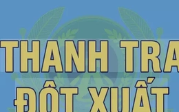 Thanh tra đột xuất Phòng Cảnh sát hình sự Công an tỉnh Hưng Yên