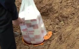 Tịch thu 5,6 tỷ đồng tiền mặt chôn dưới đất trong một trang trại