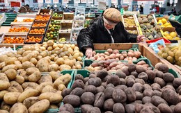 Loại củ người Nga ví như ‘vua rau củ’, giá bỗng tăng chóng mặt: Việt Nam có đầy, dùng làm thuốc từ lâu Loại củ người Nga ví như ‘vua rau củ’, giá bỗng tăng chóng mặt: Việt Nam có đầy, dùng làm thuốc từ lâu