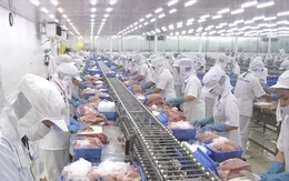 Việt Nam vừa thu 28 tỷ USD nông sản, khách nào 'sộp' nhất?