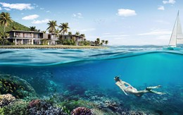 Cùng Villa Le Corail, A Gran Meliá Hotel bảo tồn hệ sinh thái ngay dưới thềm dinh thự