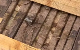 Vô tình làm vỡ chiếc thớt đã dùng nhiều năm, người phụ nữ "tá hỏa" phát hiện thứ bên trong