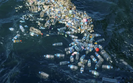 Nhựa thế hệ mới tan được trong nước biển