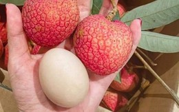 Loại khuyến mãi 789bet hơn 10.000đ/quả, to bằng trứng gà: Người ăn nhận xét "Chưa bao giờ ăn khuyến mãi 789bet nào ngon thế này"