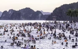 Nguy cơ mất an toàn ở bãi tắm Hạ Long