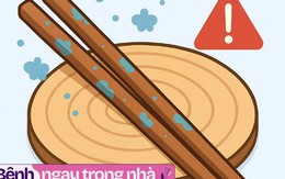 6 thói quen tiết kiệm có thể là nguyên nhân gây ung thư, đáng tiếc nhiều bà nội trợ vẫn làm tới 5 việc