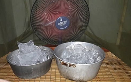 Đặt chậu nước, chậu đá trước quạt có làm mát nhà hơn không? Câu trả lời của chuyên gia gây bất ngờ