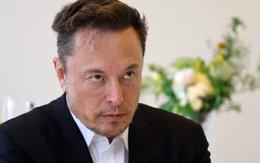 Sai lầm chí mạng Elon Musk vừa mắc phải khiến Tesla bay 152 tỷ USD vốn hóa chỉ trong 1 ngày, cả hệ sinh thái kinh doanh đang lâm nguy