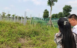 6 nguyên tắc “bỏ túi” trước khi ra quyết định mua hay bán một bất động sản