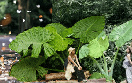 Trải nghiệm thế giới "Ghibli đời thực" ngay gần 789bet hoangsa.net: Nơi này đang chờ bạn với những cánh rừng đậm chất cổ tích và một nhịp sống đủ chậm để nhớ cả đời!