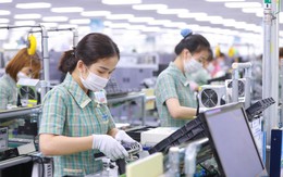 Dấu chấm cho chuỗi ngày ảm đạm: Lần đầu tiên trong năm, thị trường đón nhiều doanh nghiệp mới hơn số rời đi